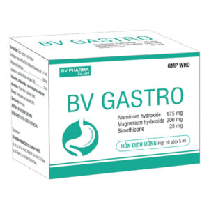 BV GASTRO